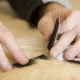 Some of the tag prototypes use simple adhesives, while others use 3M’s Velcro-like fastener technology to securely hold onto an animal’s fur.
